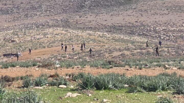 מתנחלים תוקפים פלסטינים סמוך לבית לחם באמצעות גז פלפל, אלות וכלבים