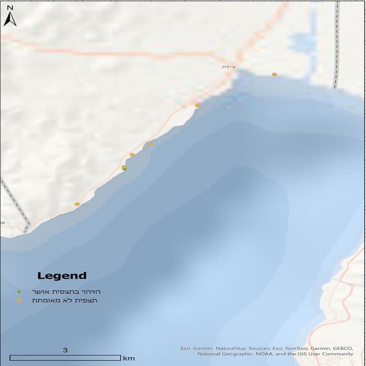 מפת תצפיות - כלל הדיווחים על נזרית ארוכת קוצים מתוך SeaWatch בים התיכון