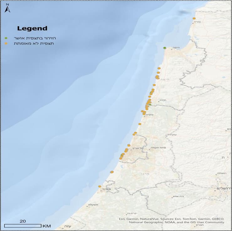 מפת תצפיות - כלל הדיווחים על נזרית ארוכת קוצים מתוך SeaWatch בים סוף