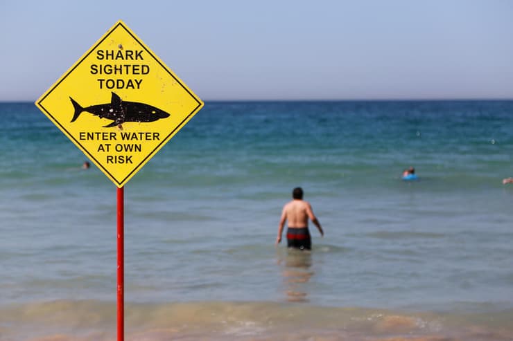 שלט אזהרה מפני כרישים