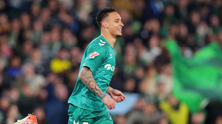 פורח בבטיס. אנטוני