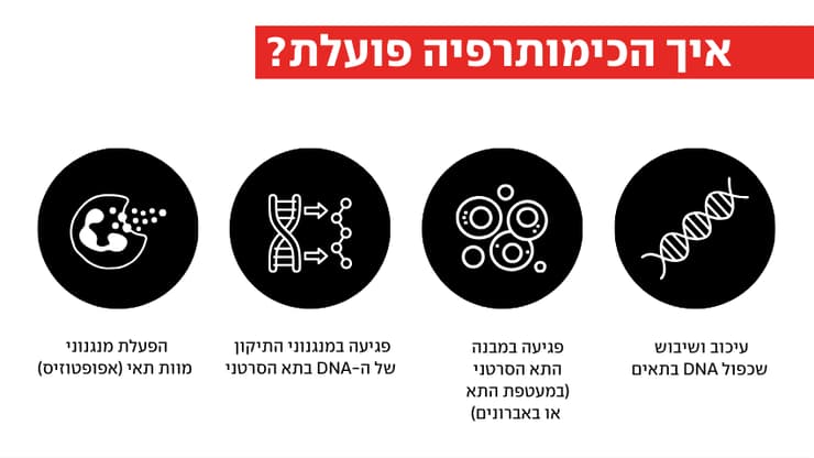 ד"ר עבד אגבריה