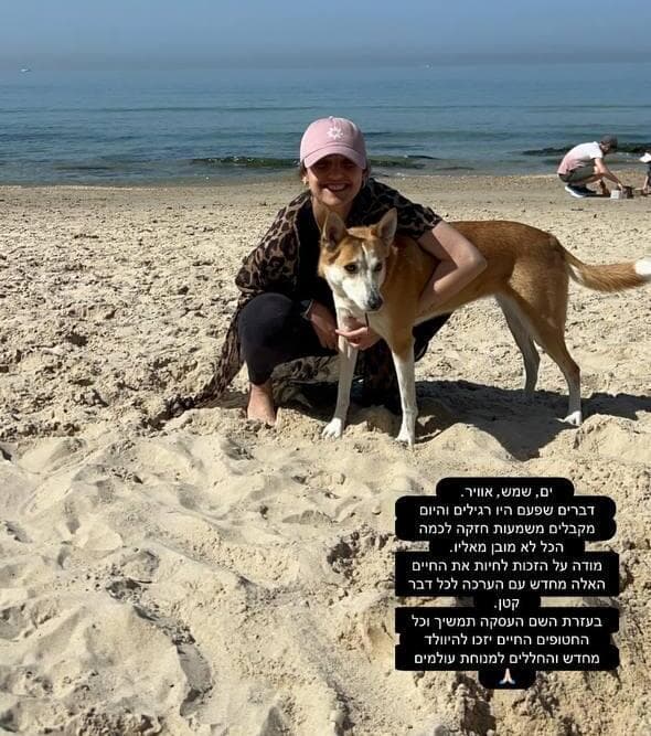 הסטורי של רומי גונן (צילום: מתוך האינסטגרם ) רומי גונן בסטורי באינסטגרם