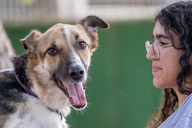מסי (צילום: רבקה מזרחי) מסי
