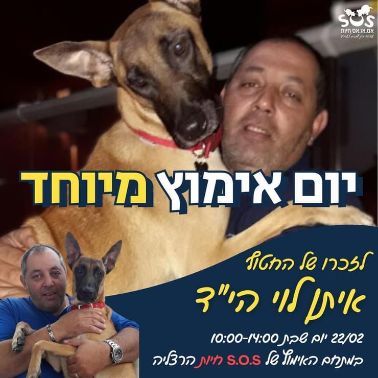 צילום: עמותת S.O.S חיות