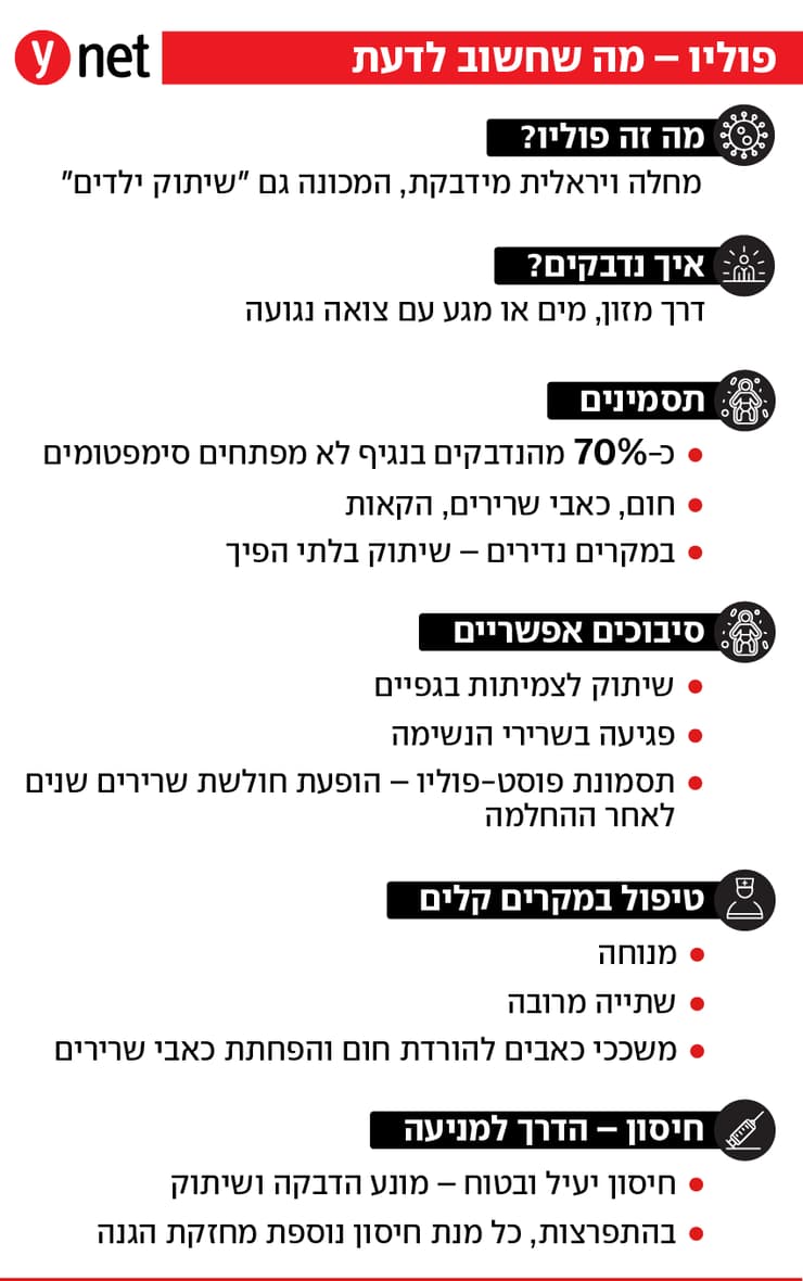 אינפו פוליו אינפו פוליו