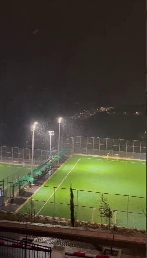 שלג יורד באפרת (צילום: מיכל אלירז גולדשטיין) שלג יורד באפרת