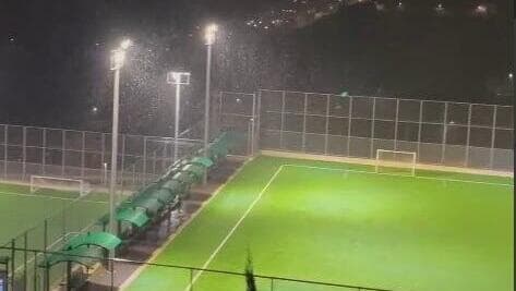 שלג גם באפרת (צילום: מיכל אלירז גולדשטיין) שלג יורד באפרת