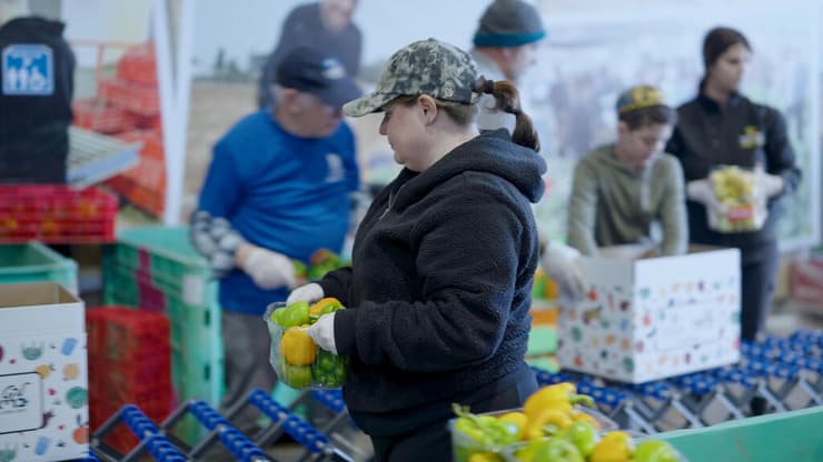 המרלוג של לקט ישראל