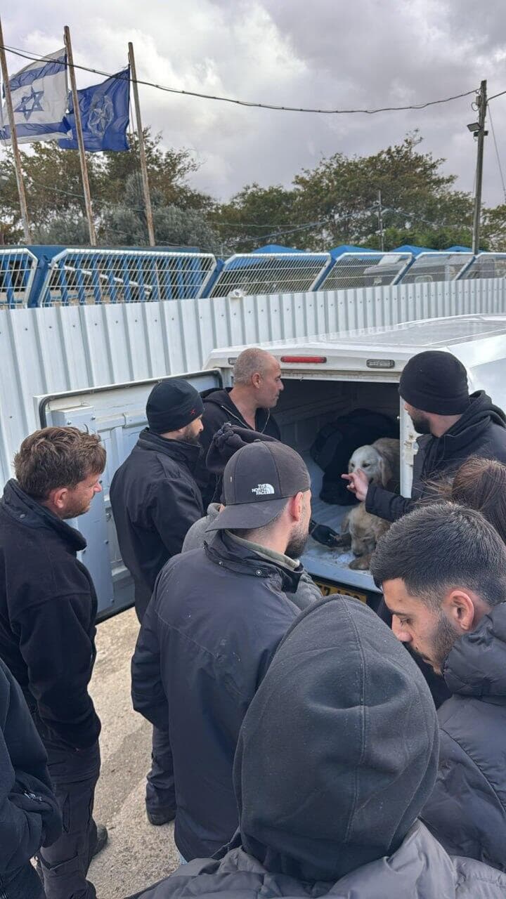 ליבי ולולה הוחזרו לבית החם