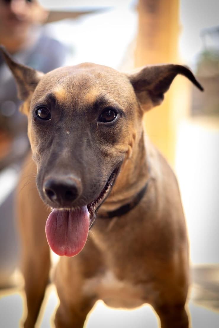 סטפן (צילום: עמותת להתחיל מחדש) סטפן