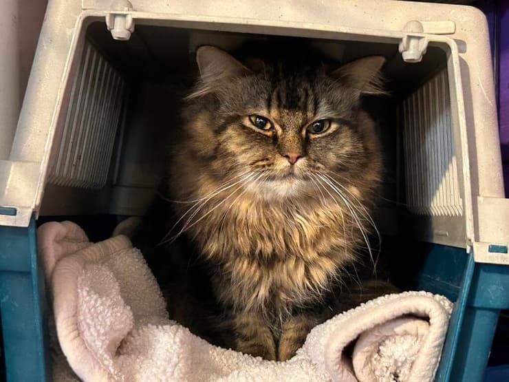 ג'רמי (צילום: עמותת להתחיל מחדש) ג'רמי