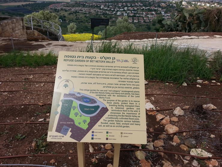 גן מקלט לצמחים בציפורי