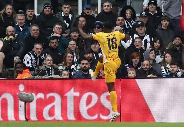 ניוקאסל ברייטון