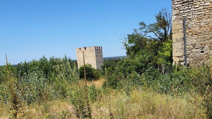 המקום שבו אמורה לקום שכונת הווילות (צילום: אתרא קדישא) המקום שבו אמורה לקום שכונת הווילות