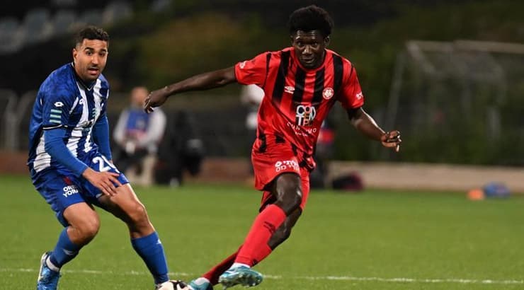 עידן כהן מנסה לחטוף