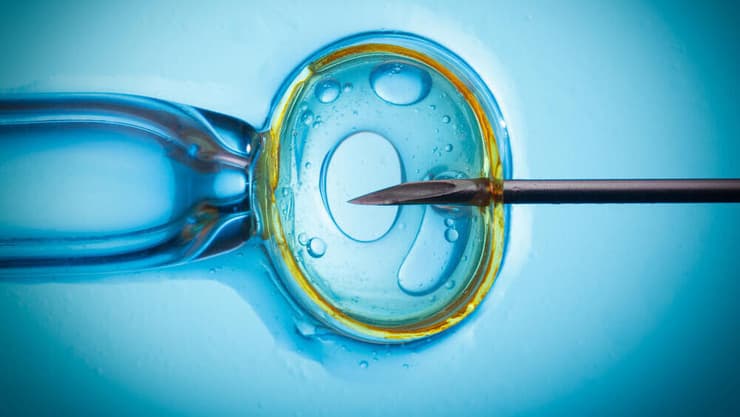 הפריה חוץ גופית