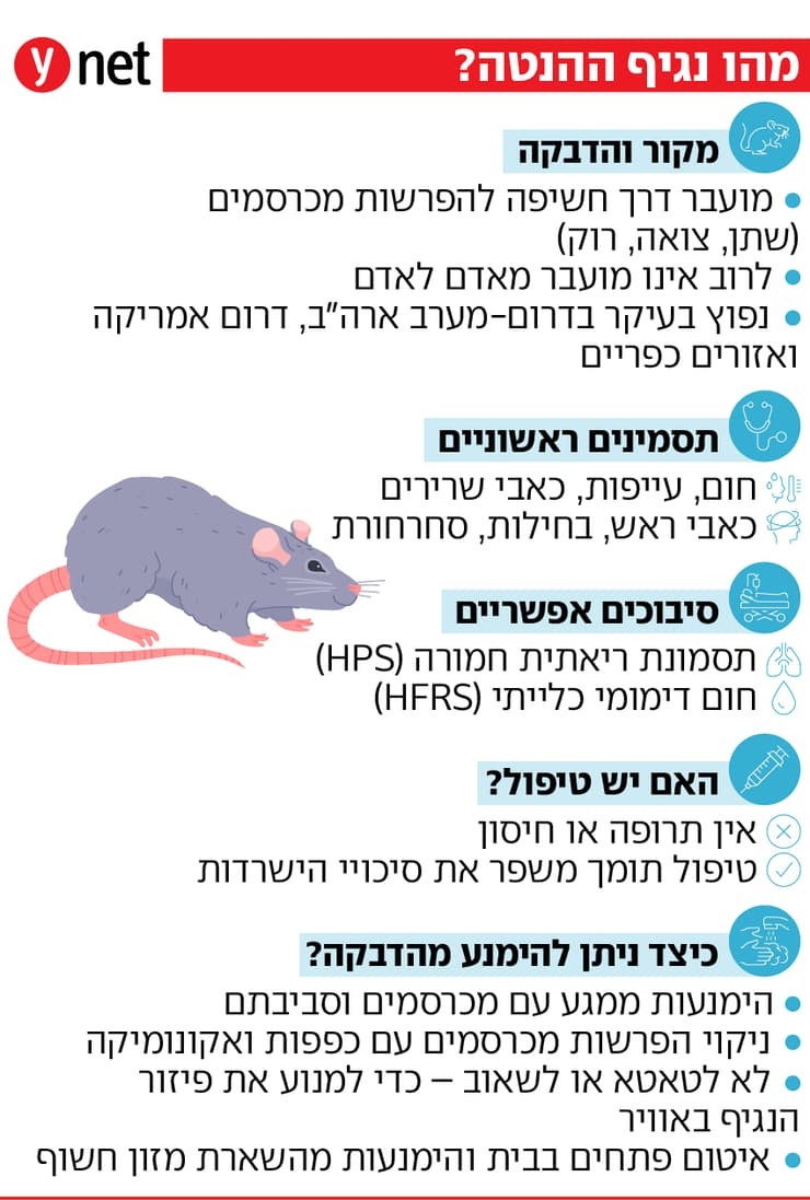 נגיף הנטה