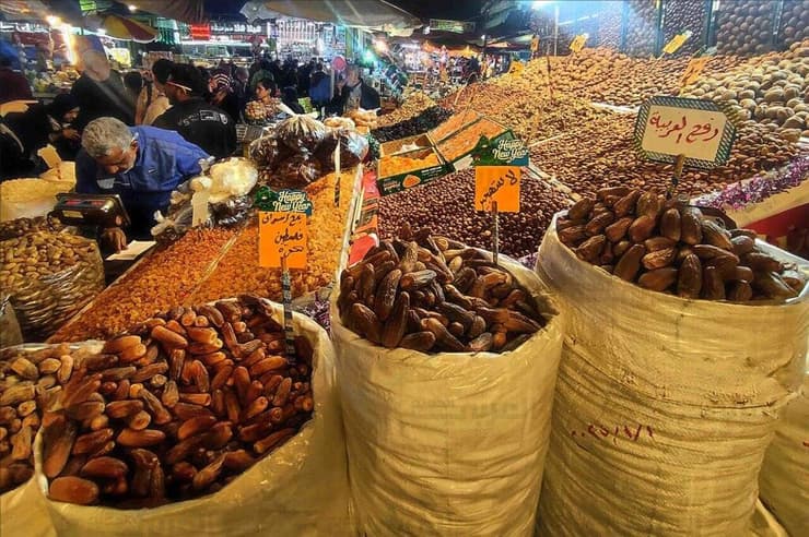 התמרים במצרים