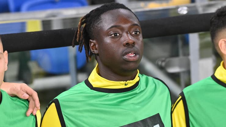 מצהוב-שחור לאדום. דאפאה (צילום: יאיר שגיא) דאפאה