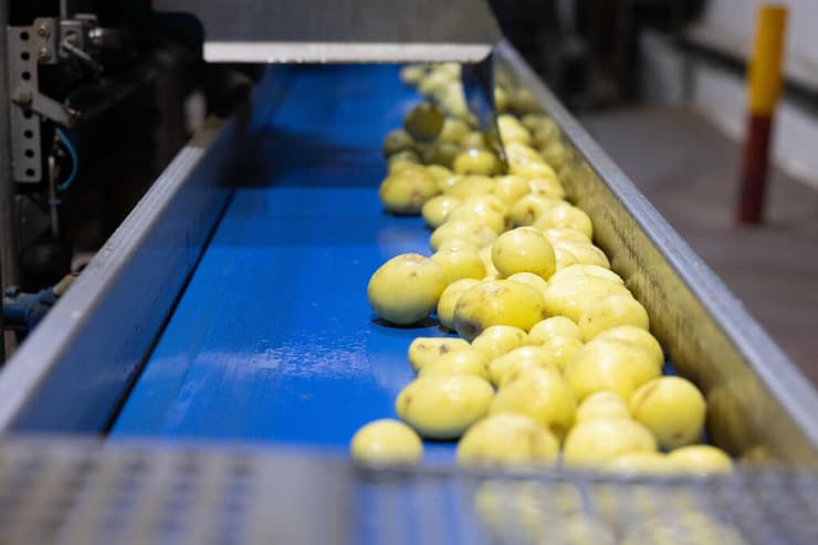 מפעל המלוחים של שטראוס בשדרות