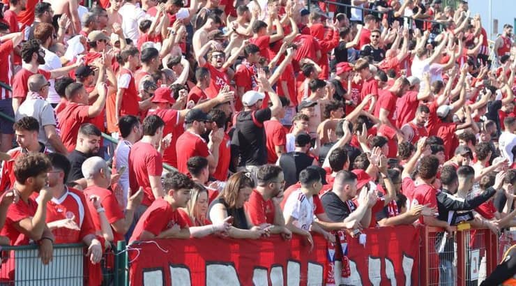 אוהדי הפועל תל אביב (אופיר מגדל) אוהדי הפועל תל אביב