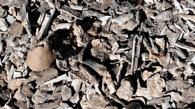 שרידי אדם שאותרו במקום (צילום: ULISES RUIZ / AFP) חווה נטושה במערב מקסיקו שבה נמצאו שרידי עצמות אדם ותנורי שרפה