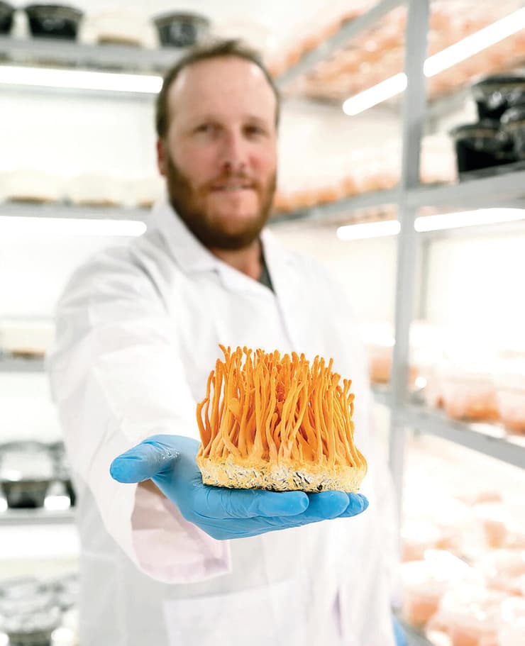 רע סופר. "סיקרן אותי היתרון של פטריות המרפא" (צילום: דניאל לילה) yk14297017