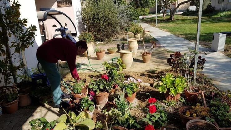 הגינה של ג'ינה בכיסופים, לפני 7 באוקטובר   