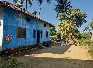 yk14279646