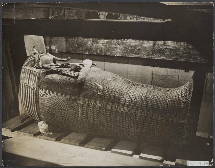 הסרקופג של תות ענח' אמון, שגופתו כוסתה לפני אלפי שנים בעלי הכותרת של הלוטוס הכחול (צילום: IMAGO/piemags, Reuters) הסרקופג של תות ענח' אמון, שגופתו כוסתה לפני אלפי שנים בעלי הכותרת של הלוטוס הכחול