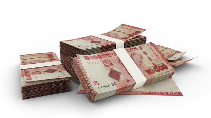 שילינג טנזני (צילום: Shutterstock) שילינג טנזני