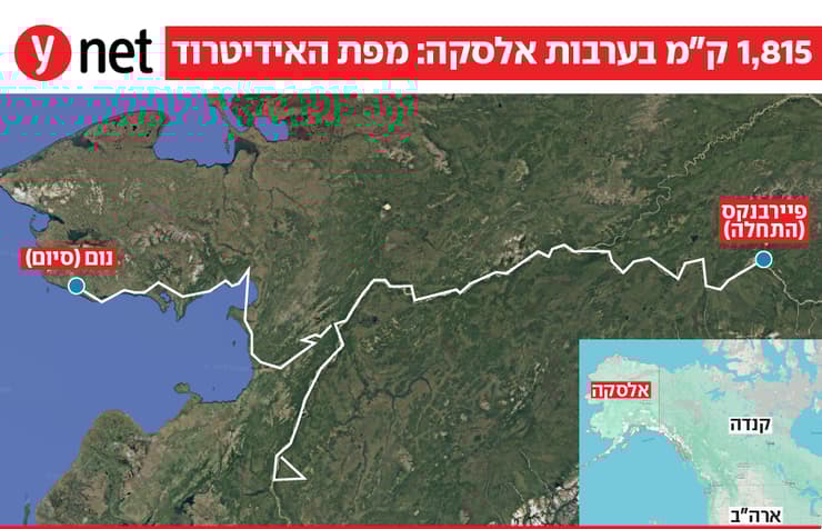 אינפו מרוץ כלבים אברהמי