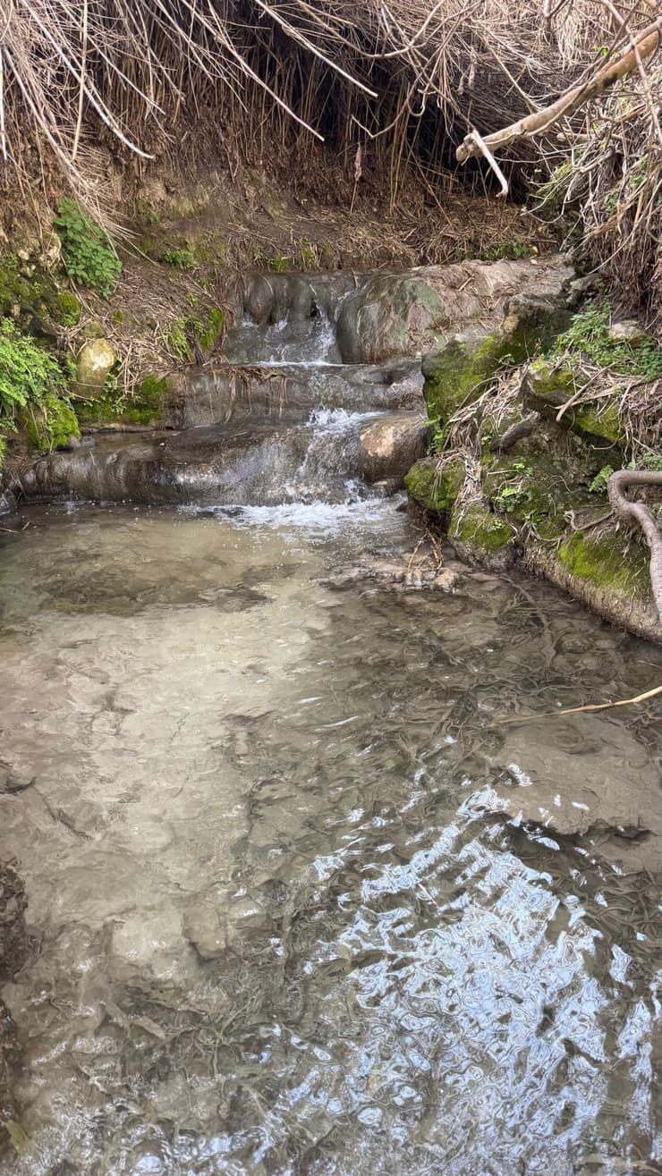 מפלי ריחניה (צילום: ארז דגן) מפלי ריחניה