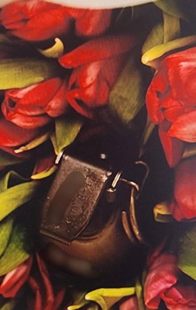 שני חשודים נעצרו בחשד שמסרו זר פרחים ובתוכו רימון רסס לדירתה של תושבת צפון תל אביב