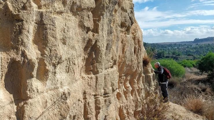 ה"עמוד" בתוך המחצבה ההיסטורית לצד התוואי החדש (צילום: איציק בן דב, החברה להגנת הטבע) "עמוד" בתוך מחצבה היסטורית לצד התוואי החדש. החורים בקיר - קינון של שרקרקים