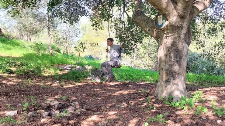 זולה ביער ברקת, בתוואי החדש (צילום: איציק בן דב, החברה להגנת הטבע) זולה ביער ברקת, בתוואי החדש