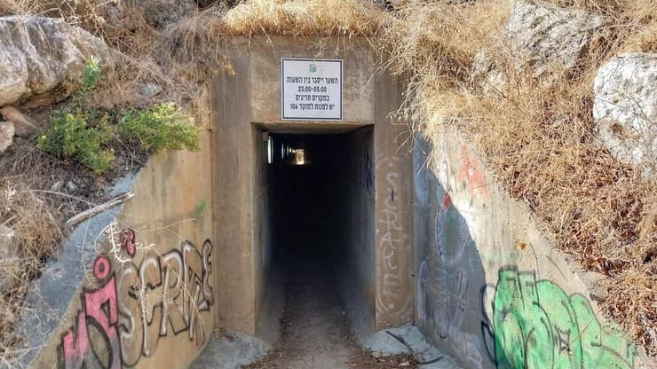 המעבר מתחת לכביש 444, בין יער שוהם לשוהם (צילום: איציק בן דב, החברה להגנת הטבע) המעבר מתחת לכביש 444, בין יער שוהם לשוהם