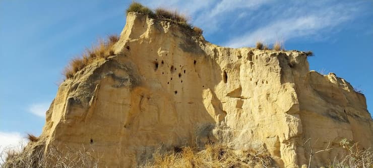 ה"עמוד" בתוך המחצבה ההיסטורית. החורים בקיר - קינון של שרקרקים (צילום: איציק בן דב, החברה להגנת הטבע) "עמוד" בתוך מחצבה היסטורית לצד התוואי החדש. החורים בקיר - קינון של שרקרקים