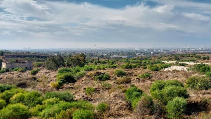 תצפית על נתב"ג מהתוואי החדש - בזמן שמטוס נוחת (צילום: איציק בן דב, החברה להגנת הטבע) תצפית על נתב"ג מהתוואי החדש - בזמן שמטוס נוחת