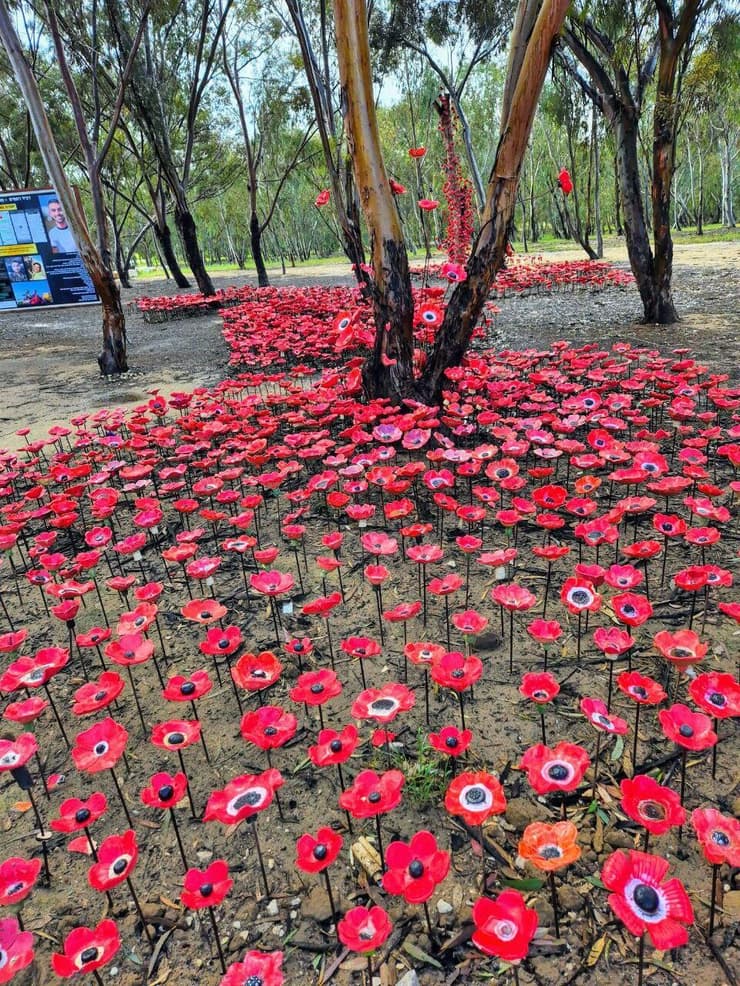 מיצב פרחים ברעים (צילום: אילנה קוריאל) מיצב פרחים ברעים