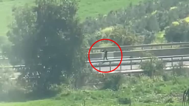 צילום: ארז אהרונוביץ מחבל בפיגוע בצומת התשבי