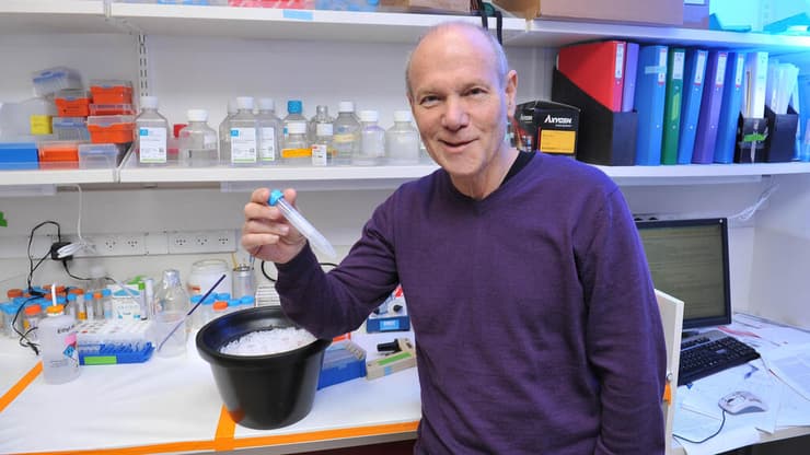 חוקר פורץ דרך בתחום חקר מחלת הסרטן. פרופ' ינון בן נריה (צילום: Bruno Charbit) פרופ' ינון בן נריה פרס ישראל ברפואה לשנת 2025