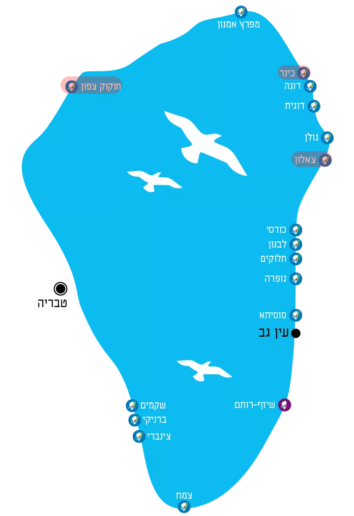 חוף צמח
