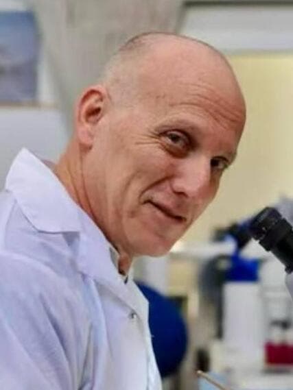 פרופ' ערן טאובר 