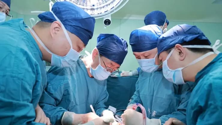 רופאים מסין ביצעו השתלה של כבד מהונדס גנטית מחזיר בגוף של אדם שנמצא במצב של מוות מוחי (צילום: Xijing Hospital of Air Force Military Medical University ) רופאים מבית החולים שי-ג'ינג של האוניברסיטה הרפואית הצבאית של חיל האוויר מסרו כי ביצעו שתי השתלות של כבדים מהונדסים גנטית מחזיר בגופם של בני אדם במצב של מוות מוחי