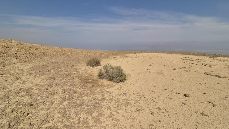 הגבול בין חול הצלחת למדבר הרגיל