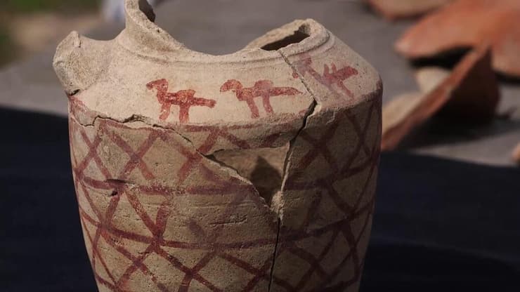 שני גמלים ובעל חיים נוסף על הפך