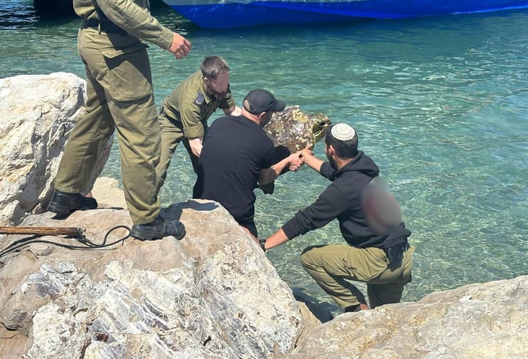 החיילים מחלצים את הצב מהמים