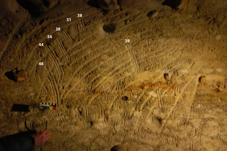 ציורי אצבעות שנעשו על-ידי ילדים במערת Rouffignac